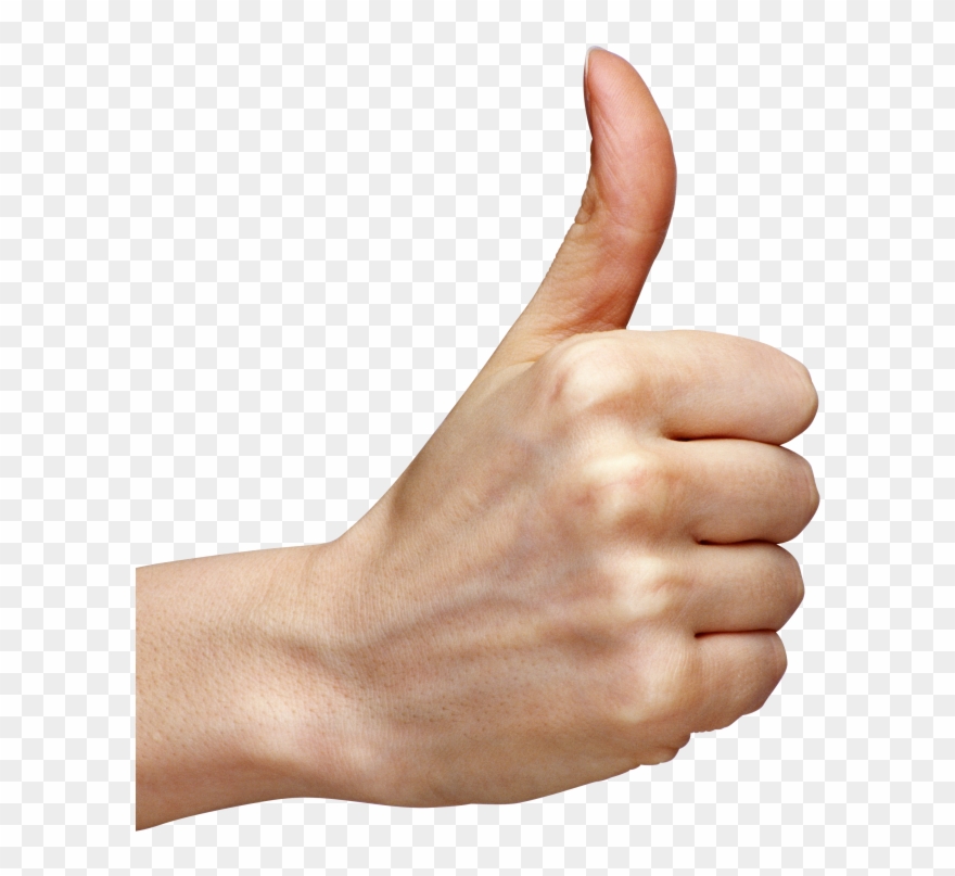 Free Clipart Hands - Transparent Background Thumb Up Png