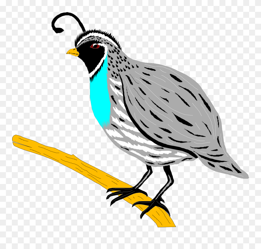 Clipart Of A Quail - Png Download