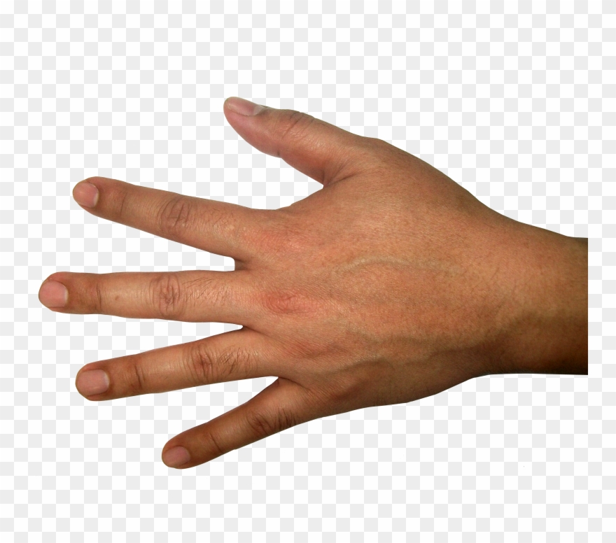 Hands Png Free Images Pictures Download Image - Healthmateforever T24ab2 Touch Screen Tens Muscle Recovery Clipart