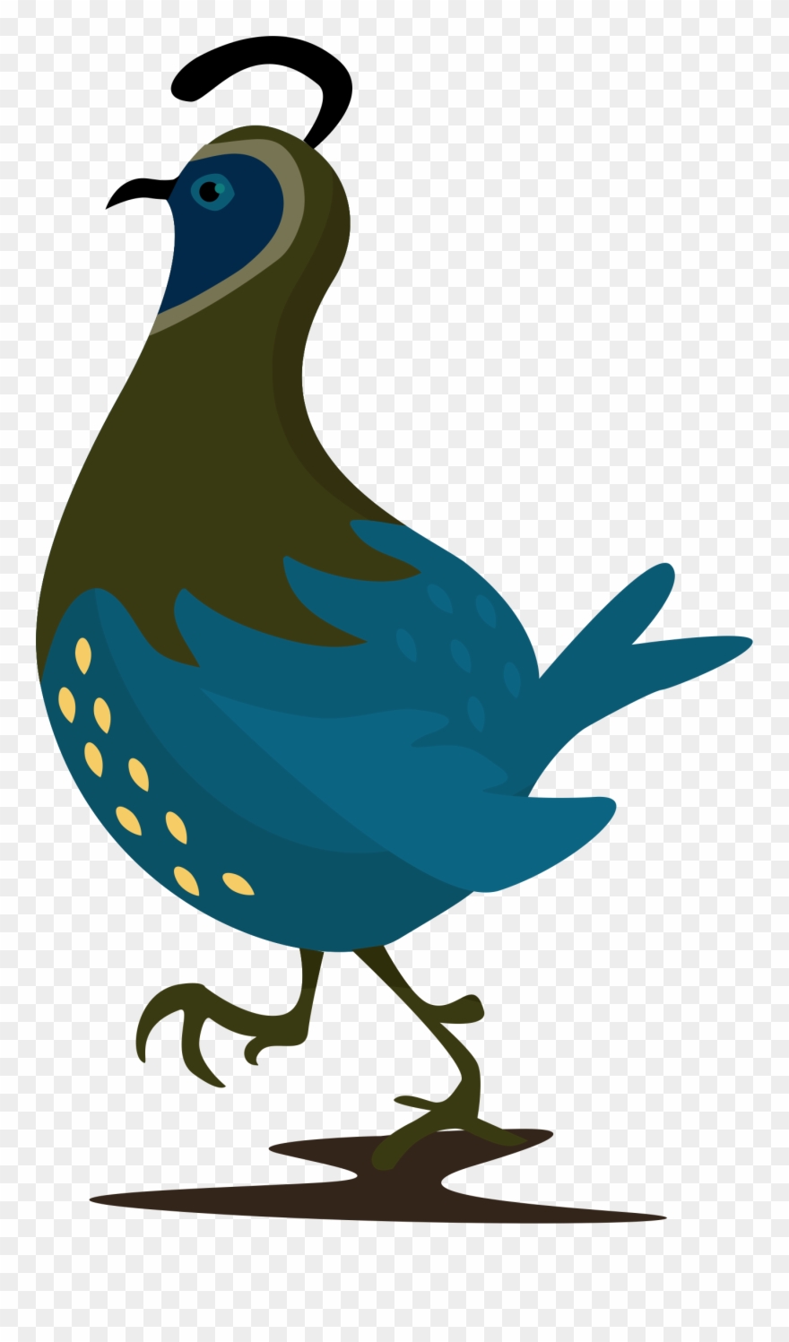 Quail Clipart Quail Family - Quail Eggs - Png Download