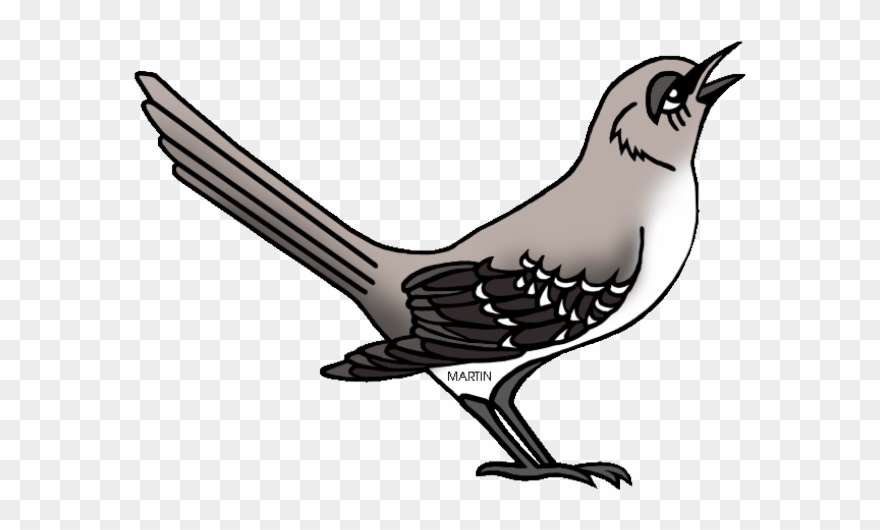 Mockingbird Clipart Tennessee - Northern Mockingbird Clipart - Png Download