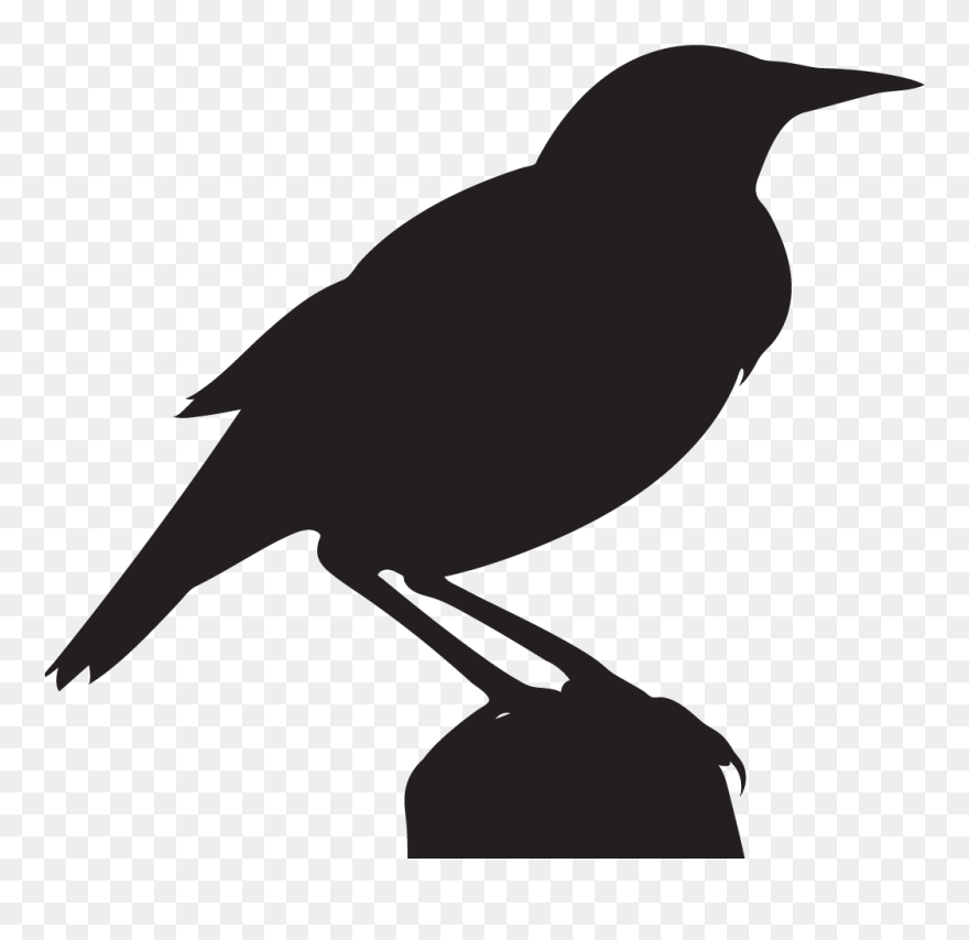 Flying Silhouette At Getdrawings Com Free For - Meadowlark Silhouette Clipart