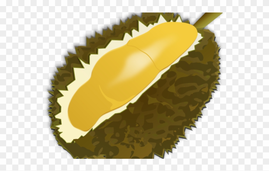 Durian Clipart Clip Art - Custom Durian Shower Curtain - Png Download