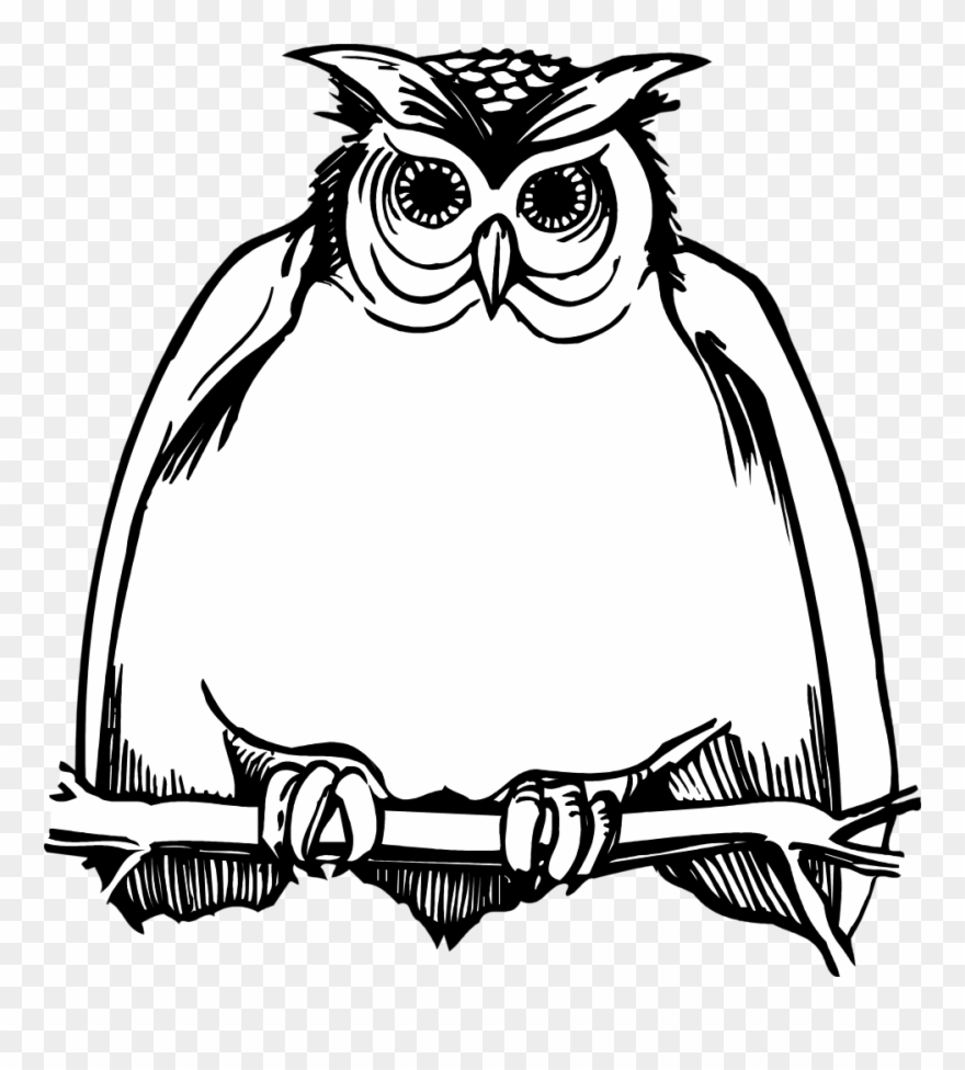 Horned Owl Clipart Black And White - Png Download
