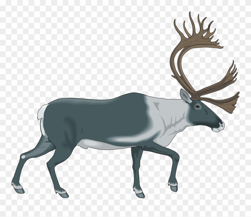 Download Clipart Freeuse Stock Hurricane Classic Series - Caribou Clip Art - Png Download