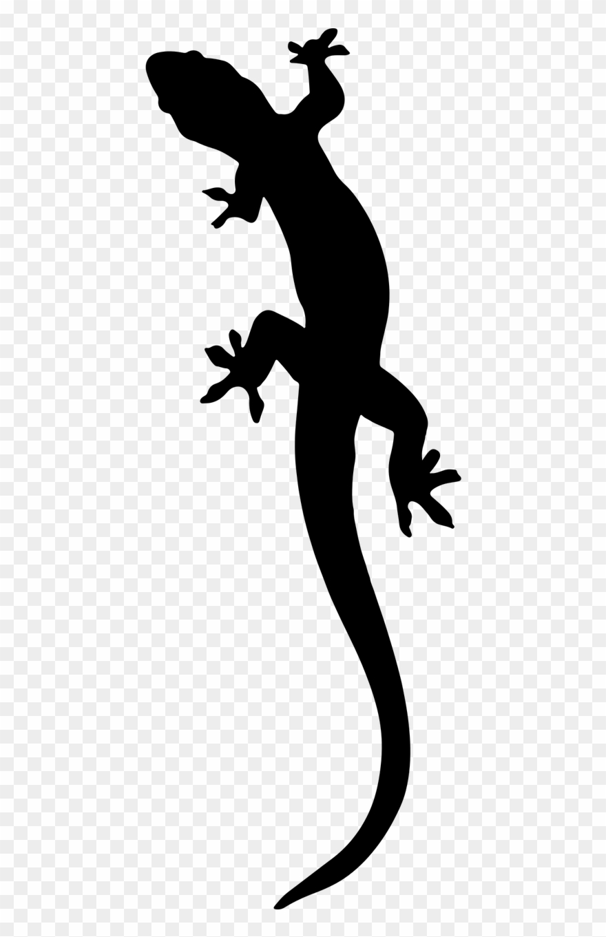Gecko Silhouette - Salamander Silhouette Clipart