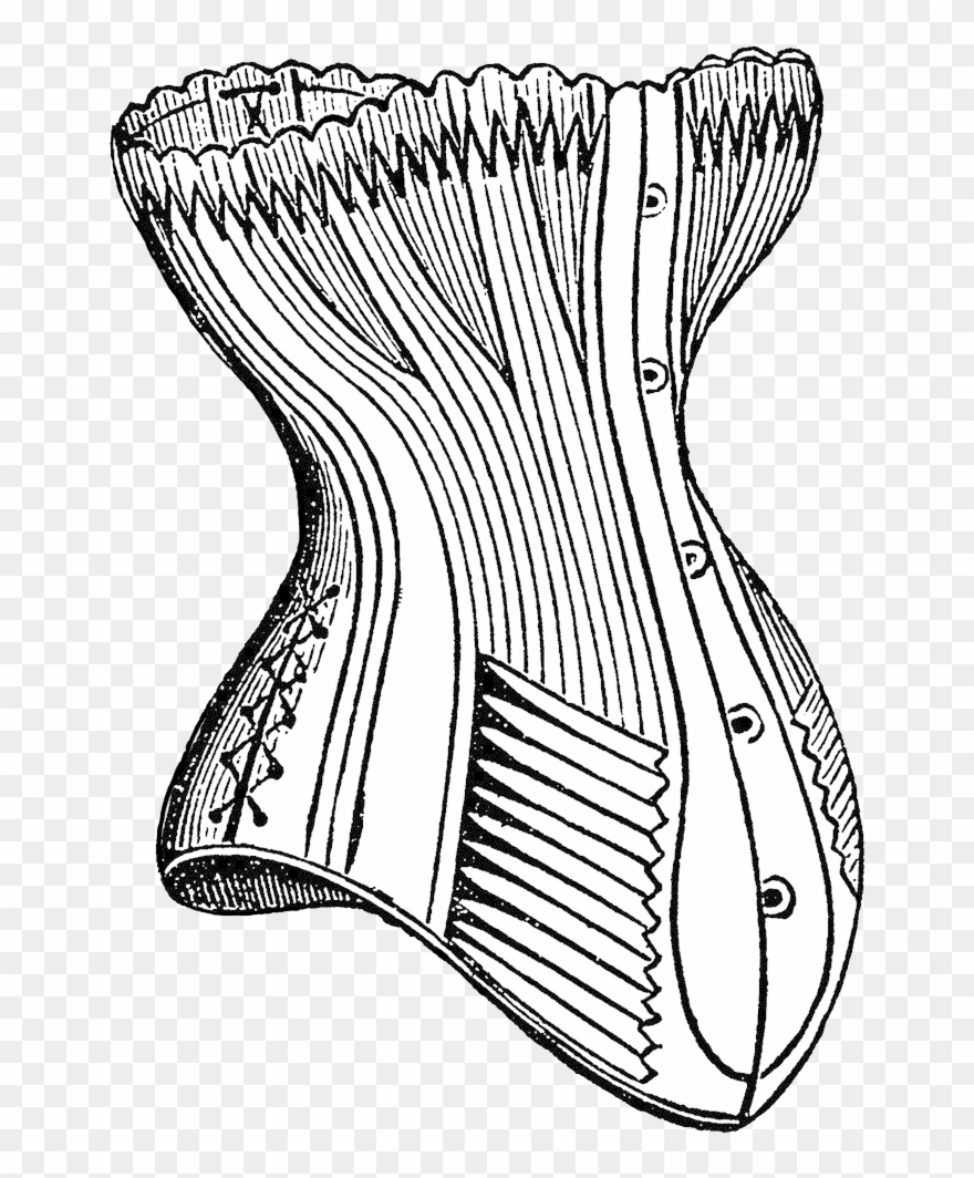 Corset Clipart - Drawing - Png Download