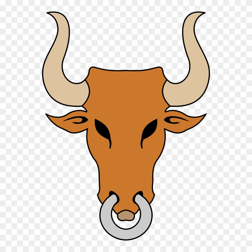Cattle Ox Bull Horn Drawing Clipart