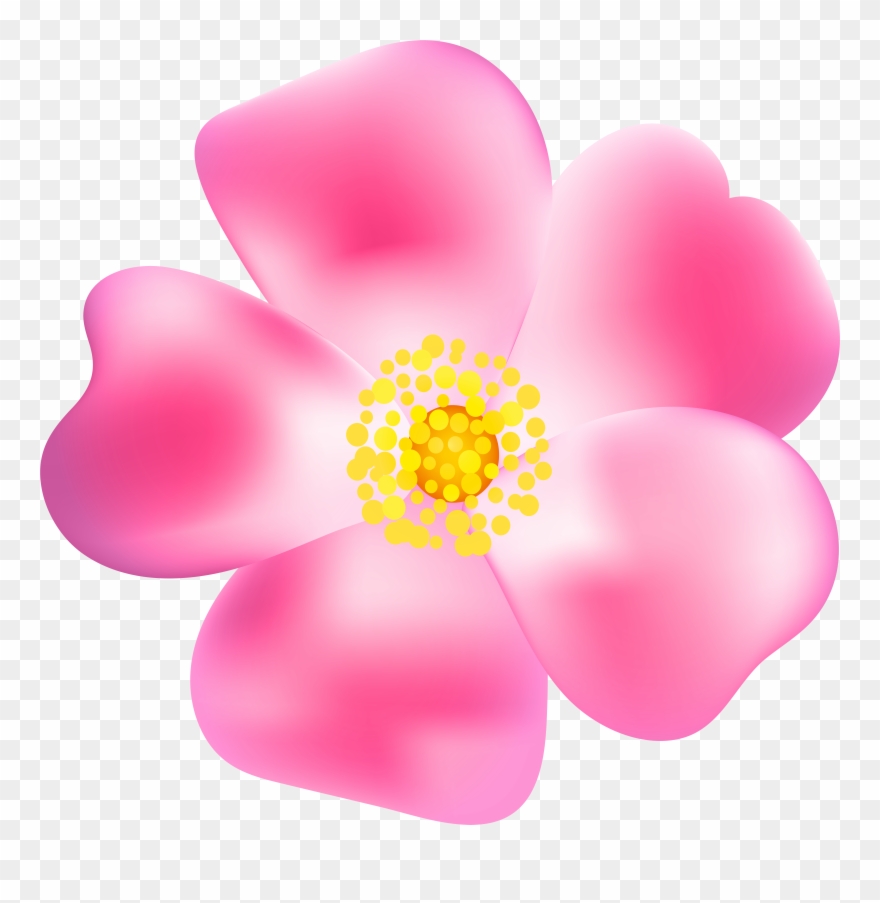 Wildflower Clipart - Png Download