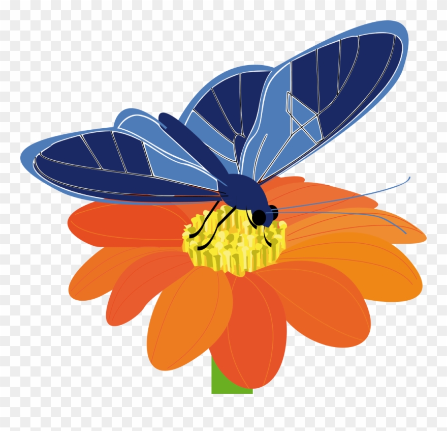 Free Butterfly On A Flower - Butterfly On Flower Clip Art - Png Download