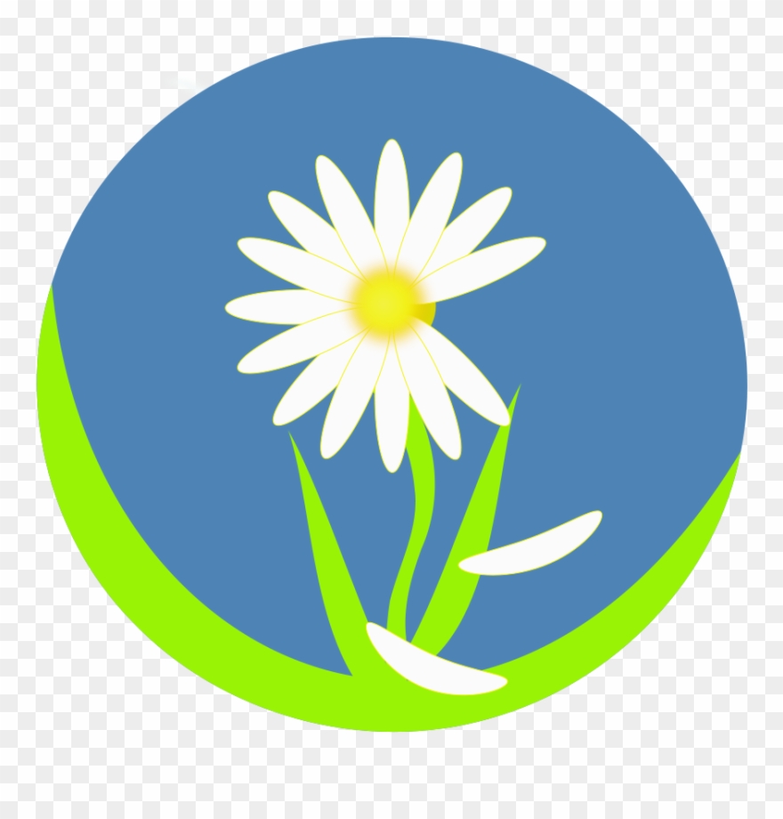 Medium Image - Ethiopian New Year Flower Png Clipart