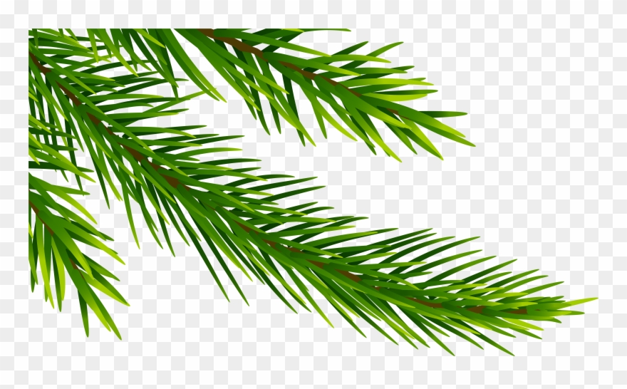 Corner Clipart - Png Download