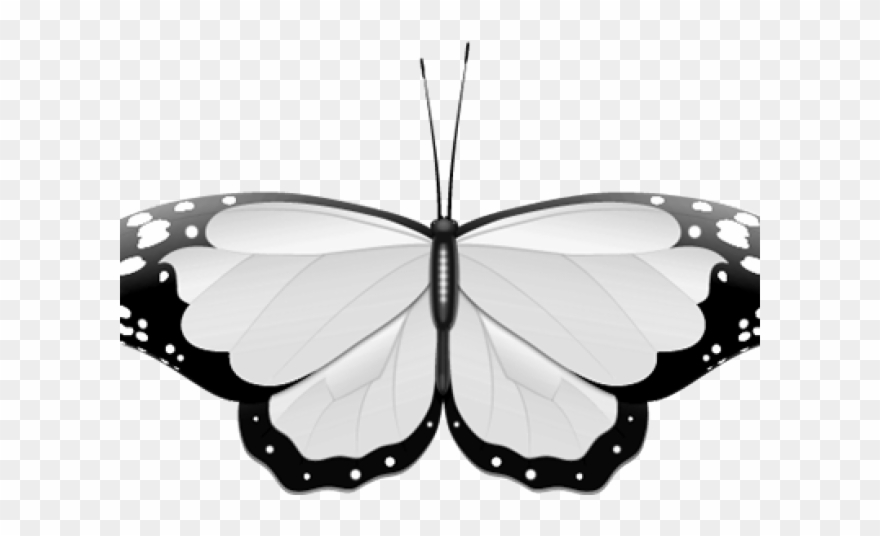 Wedding Clipart Butterfly - Monochrome Butterfly - Png Download