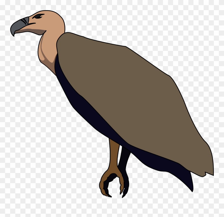 Clipart Vulture Clip Art Microsoft Word 2010 Clip Art - Bird Vulture Artwork Transparent - Png Download