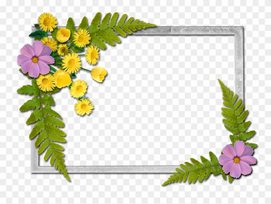 flowers yopriceville high quality images and view teacher s day with dr sarvepalli radhakrishnan clipart 227529 pinclipart teacher s day with dr sarvepalli