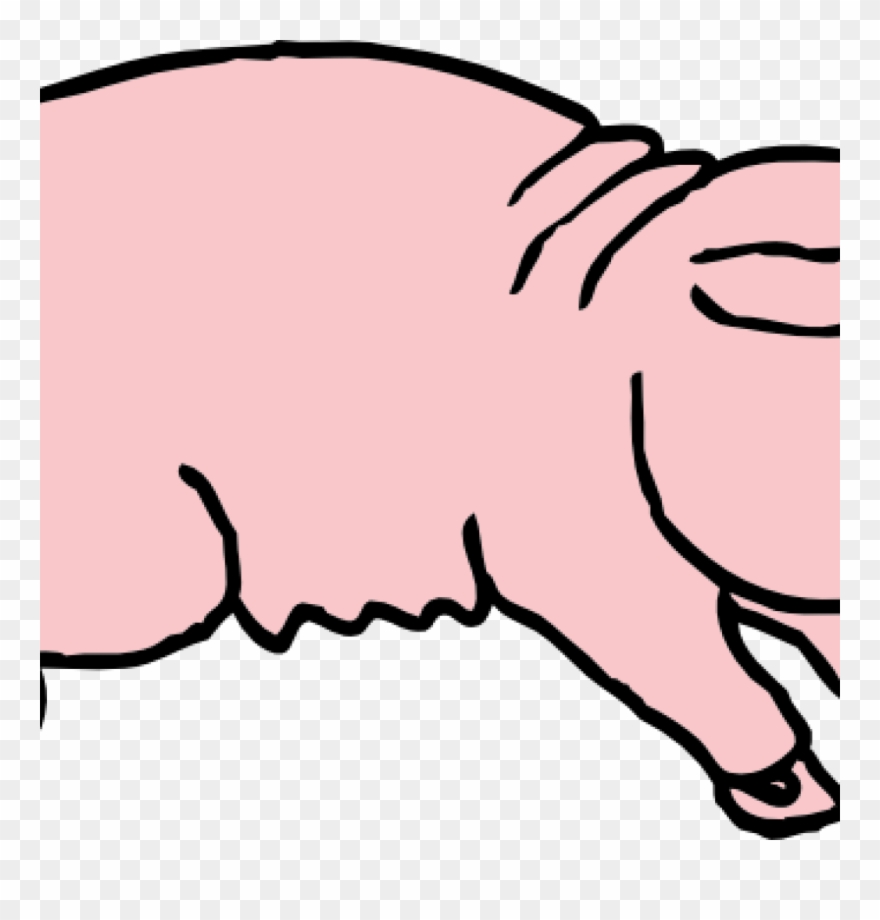 Free Pig Clipart Pig Clipart Clipart Panda Free Clipart - Custom Cartoon Pig Throw Blanket - Png Download