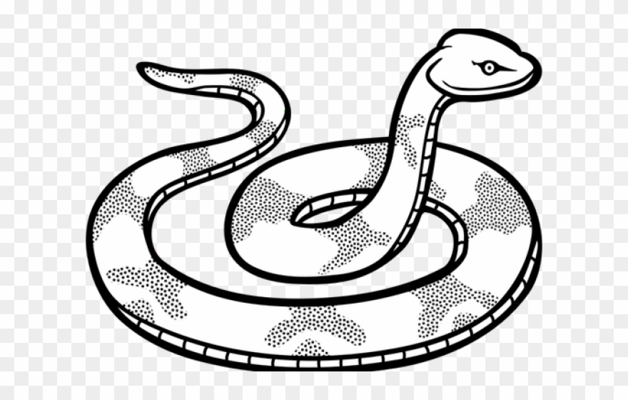Drawn Snake Transparent - Clip Art Black And White Snake - Png Download