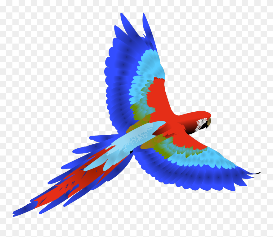 Parrot Clip Art Cartoon Bclipart Free Images - Macaw Clipart - Png Download