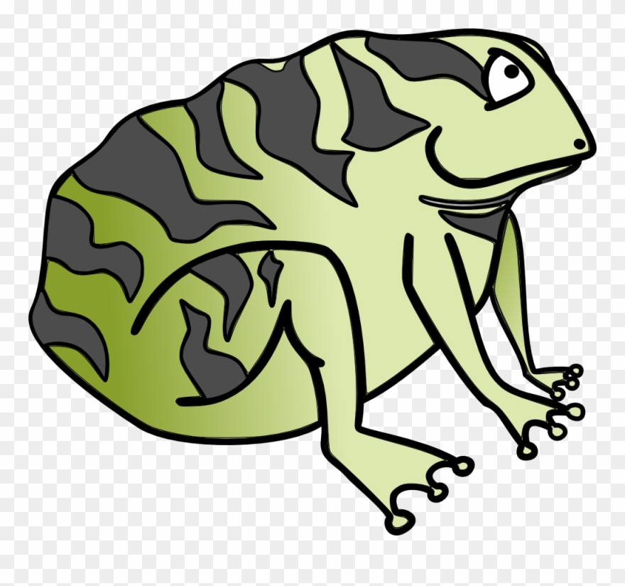Frog Cane Toad Download Computer Icons Clipart