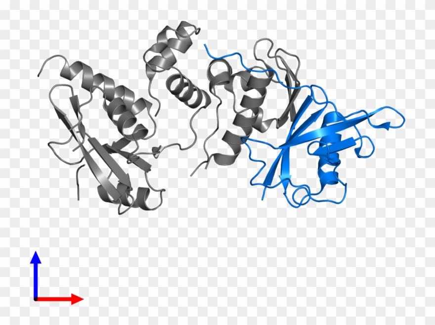 <div Class='caption-body'>pdb Entry 6c5x Contains 1 - Cartoon Clipart