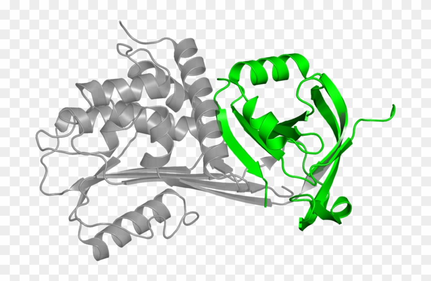 Illustration Clipart