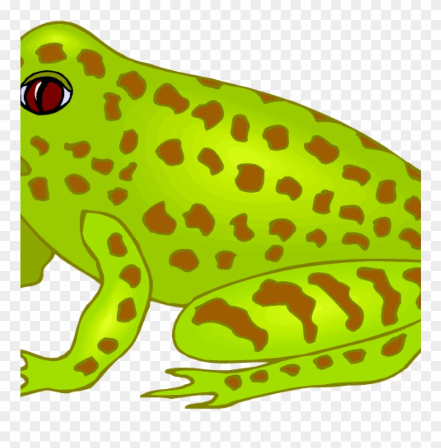 Free Fish Hatenylo Com Music - Frog Clipart