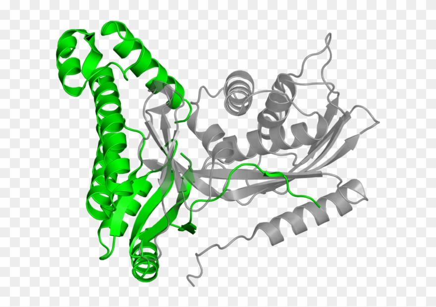 <div Class='caption-body'>1 Copy Of Scop Domain < - Illustration Clipart