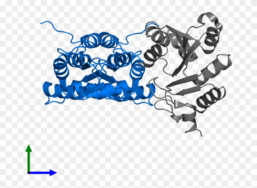 Illustration Clipart