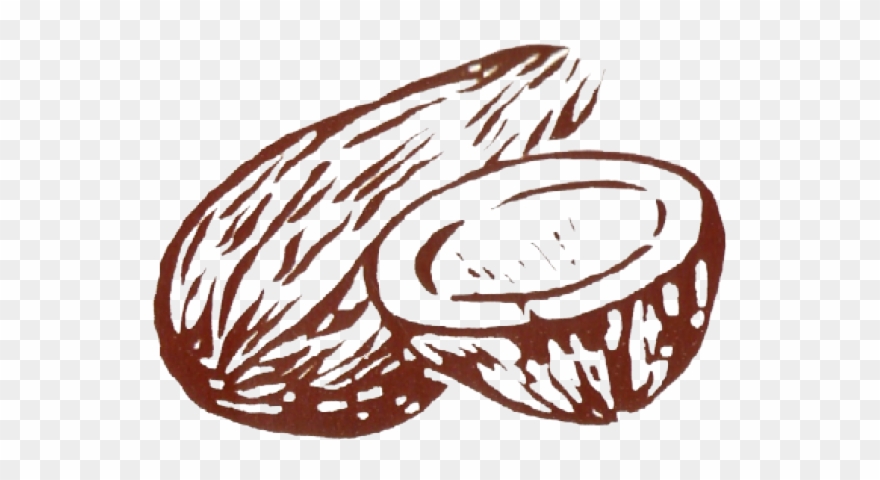 Politics Clipart Ballot - Indian Election Symbols Coconut - Png Download