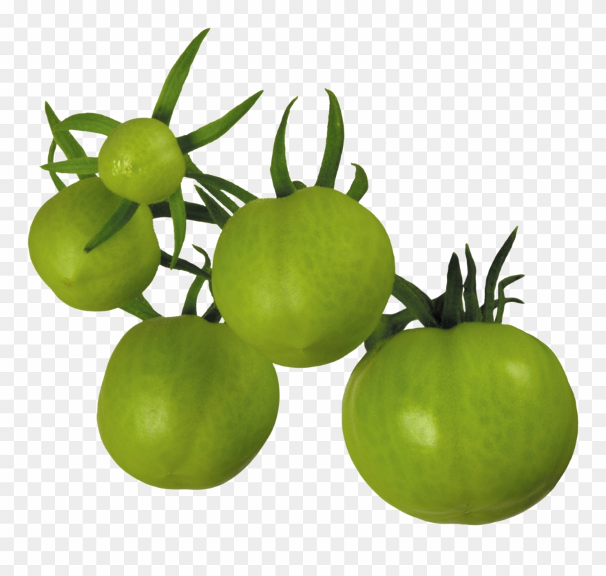 Vegetable Clipart Transparent Background - Green Tomato Png