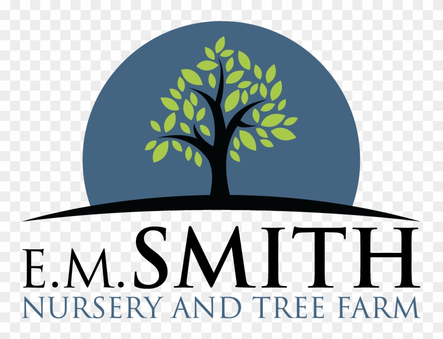 Smith Nursery & Tree Farm Goodhope, Ga Shade Trees - Mountain Realestate Logo 99designs Clipart