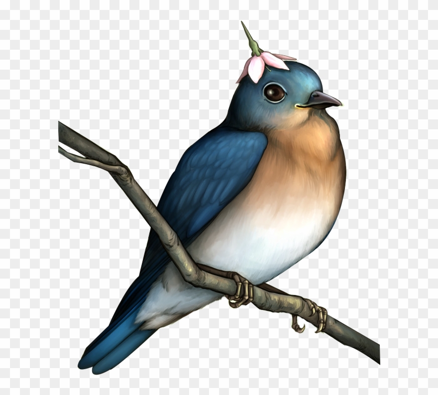 Bird Flower Hand Painted - Birds Painting Png Clipart