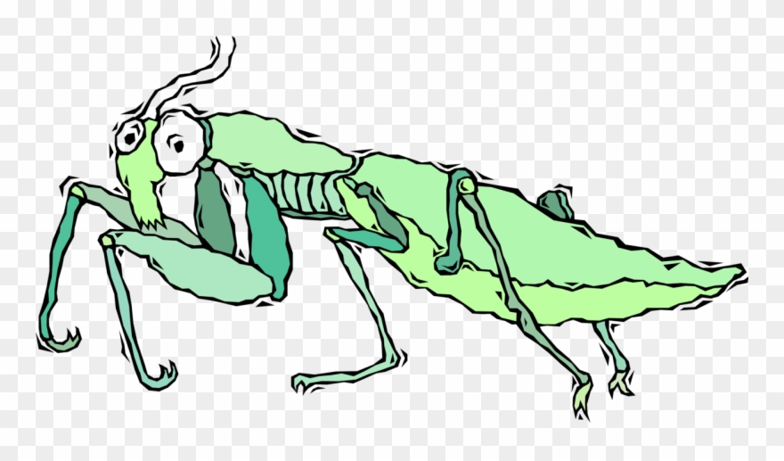 Vector Insects Praying Mantis - Cartoon Clipart