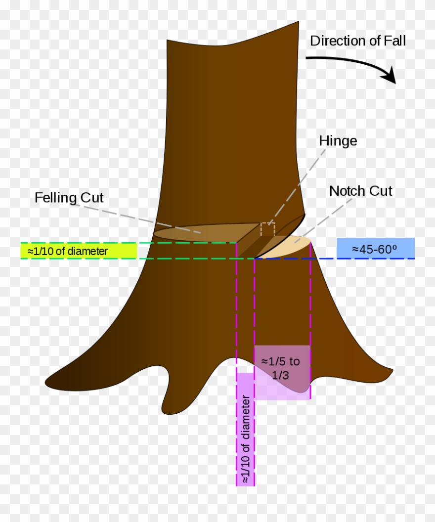 Cutting Down A Tree With A Chainsaw - Cut A Tree With A Chainsaw Clipart