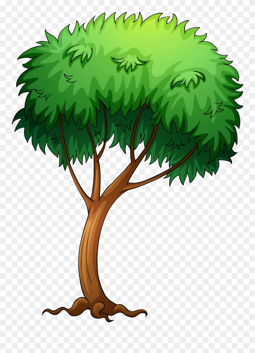 Pictures Of Trees Image - Tree Cartoon Png Transparent Clipart