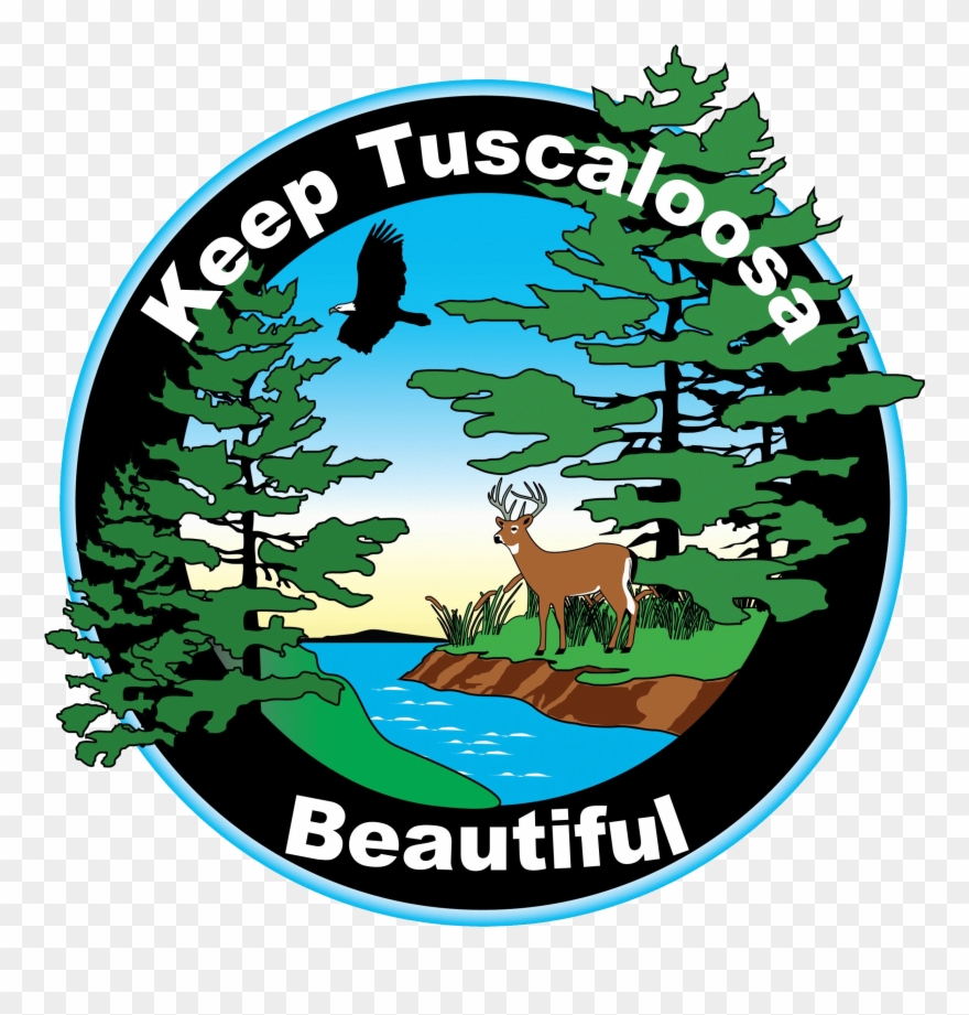 Ktb Logo Clear No Background - Illustration Clipart