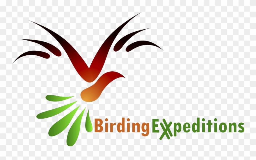 Com) October 12th, - Curassow Clipart