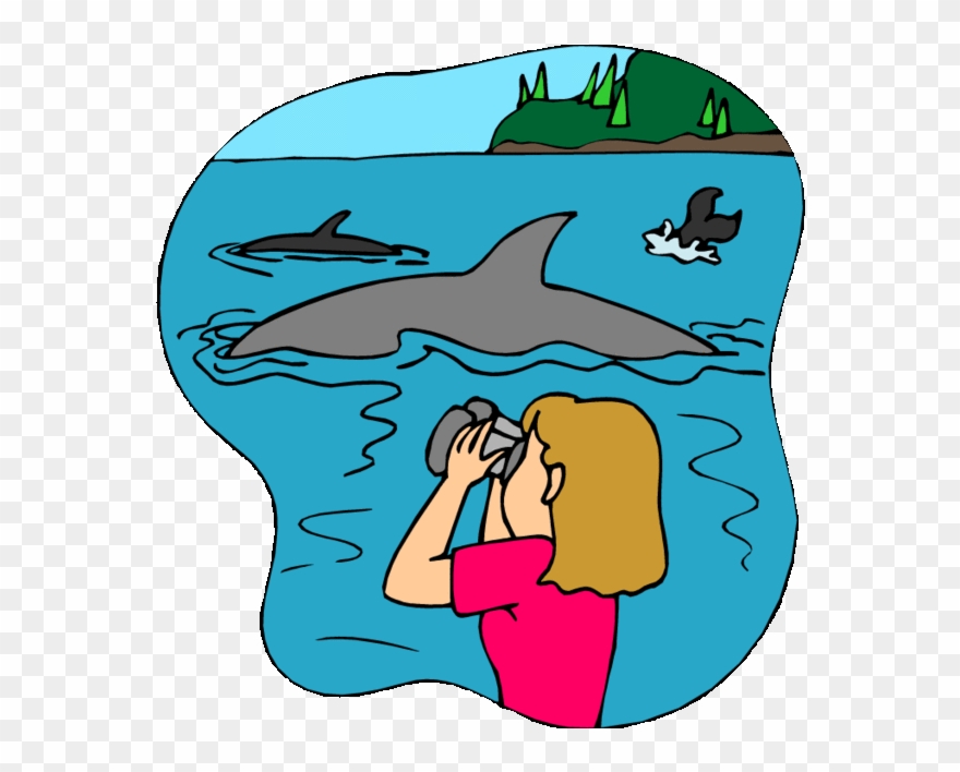 Rocky Mountains, Sunshine Coast, Snowdonia, Hot Tub, Clipart