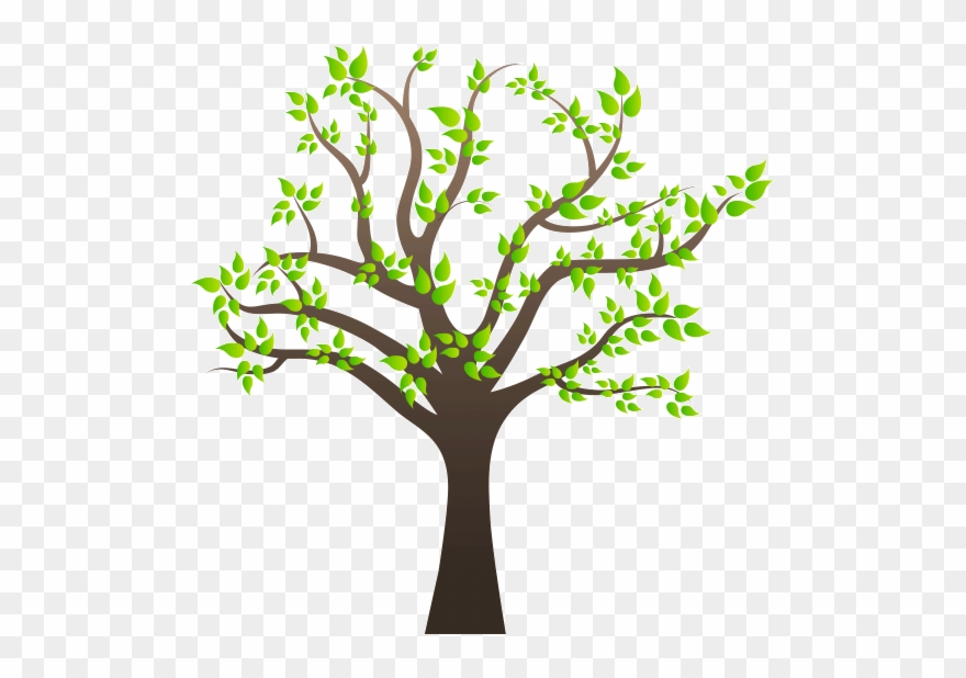 Árbol En Primavera - Transparent Tree Clipart Png