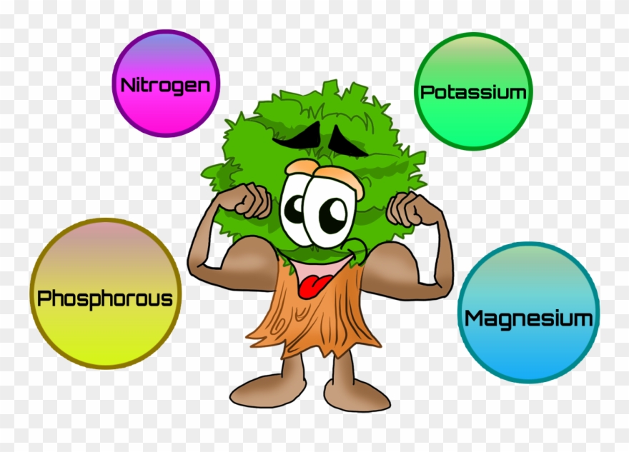 Nutrients For Plants Clip Art - Nutrients For Plants Clipart - Png Download
