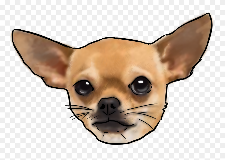 Why Are You - Chihuahua Png Clipart