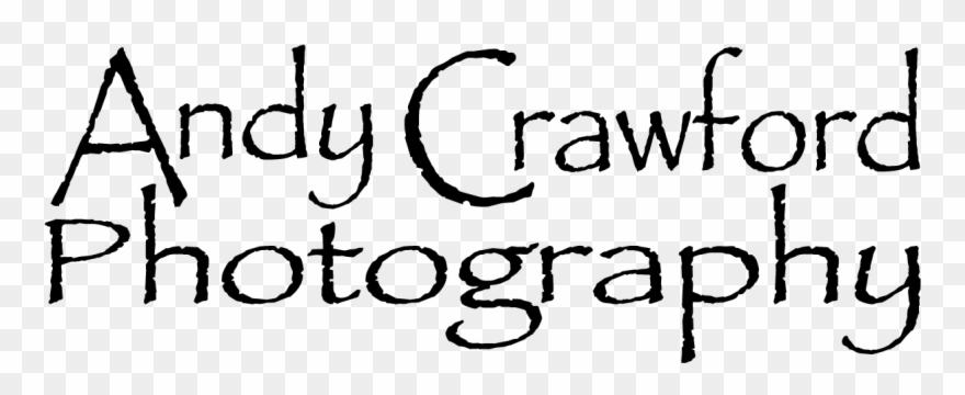 Https - Place To Be Is Now. (round) 3.5" Button Clipart