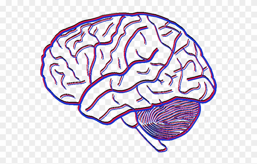 Investigating The Flexibility Of Empathy - Simple Picture Of A Brain Clipart