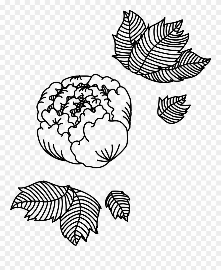 Garden Clipart