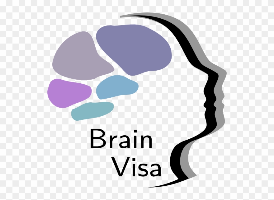 Many Toolboxes Have Already Been Developped For Brainvisa - Brainvisa Clipart