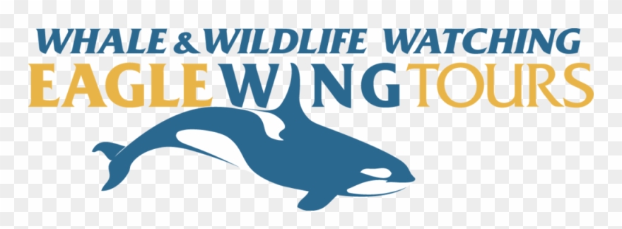 Eagle Wings Tours - Eagle Wing Tours Logo Clipart