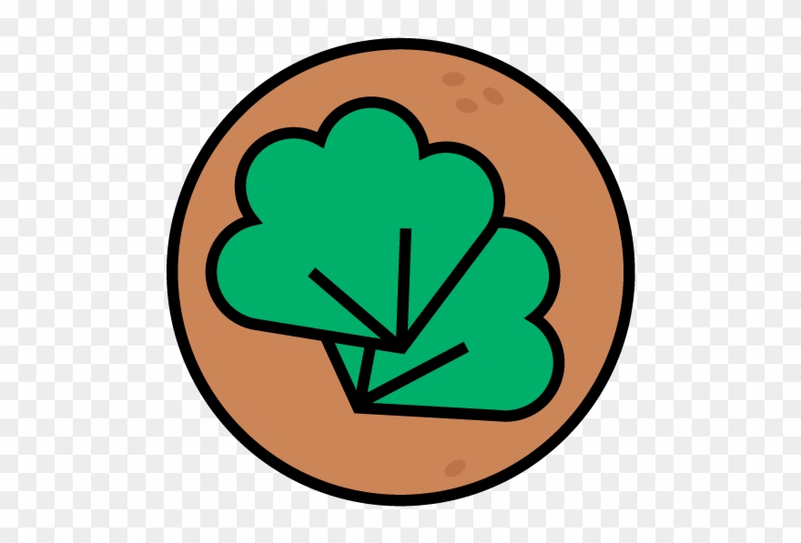 Feedback Wrap 2 Observations - Illustration Clipart