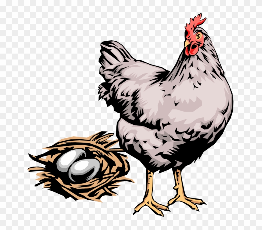 24 Карточки В Коллекции «кузьминки-к» Пользователя - Chicken With Eggs Clipart - Png Download