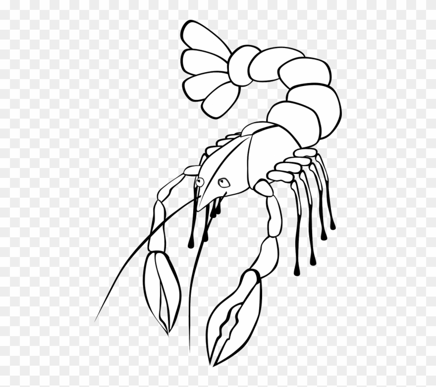 Crawdad Drawing Red Crawfish Clipart