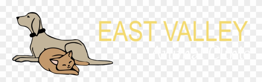 Clip Royalty Free Download Dentistry X Ray East Valley - Dentistry - Png Download